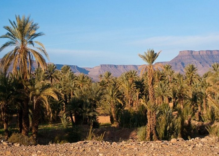 agence d'excursion marrakech